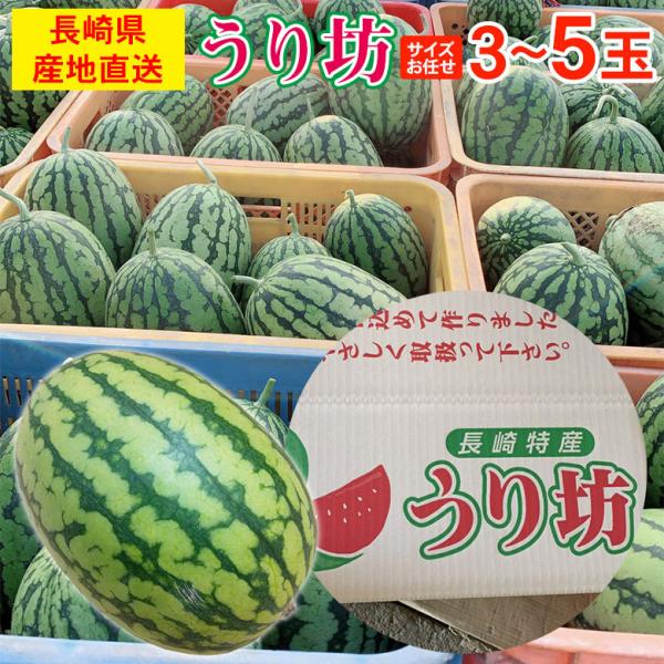 送料無料 長崎 長崎県産 すいか スイカ 西瓜 小玉 小玉スイカ