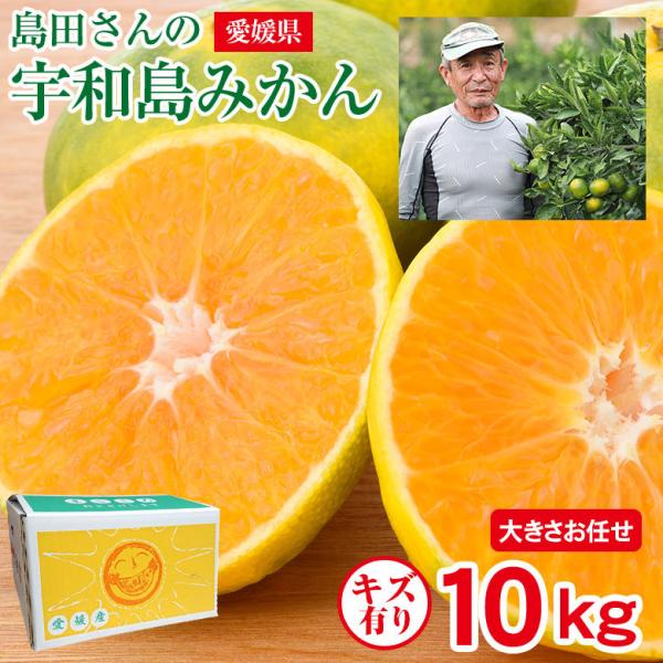 送料無料 キズ入り 訳あり 家庭用 愛媛県産 宇和島みかん 愛媛みかん 温州みかん 西伊予 玉津みかん 早生 南柑20号 大きさお任せ 10kg みかん 国産 国産みかん :uwamikan-kizu-10kg:くだもの観覧車 - 通販 - Yahoo!ショッピング 送料無料 キズ入り 訳あり 家庭用 愛媛県産 宇和島みかん 愛媛みかん 温州みかん 西伊予 玉津みかん 早生 南柑20号 大きさお任せ 10kg みかん 国産 国産みかん :uwamikan-kizu-10kg:くだもの観覧車 - 通販 - Yahoo!ショッピング