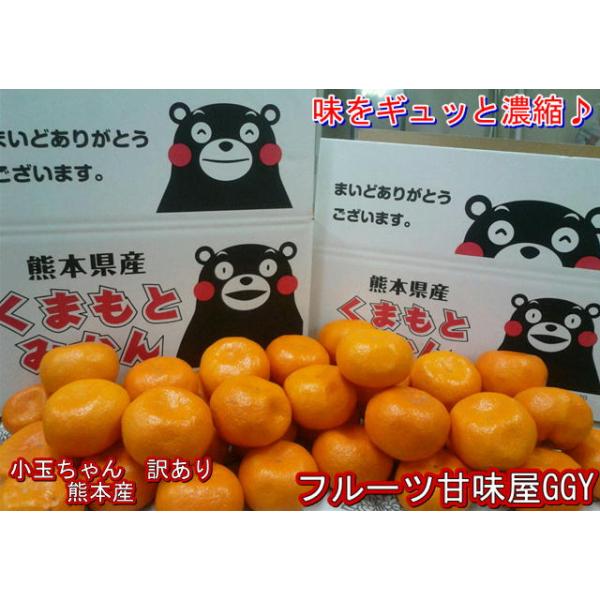 当店　年間人気No.1熊本みかん訳ありの小玉限定品味をギュッと濃縮♪味に、定評のある熊本みかんを赤字覚悟で・超特価にて販売！！サイズはＳ〜３Ｓ・黒点・シミ・キズなども入りますが、中身に問題はありません！！みんな、大好きくまモンの段ボールにて...