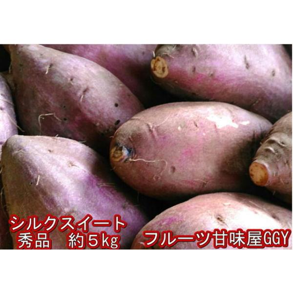 トロットロ♪まるでスイーツ蜜芋　シルクスイートお届けするのは秀品　1箱（5ｋｇ）サイズ（３Ｌ〜２Ｓ）サイズ指定不可濃厚で甘い　最高で糖度40〜50度になることも！さつまいも・シルクスイート・熊本・送料無料・新物・蜜芋・スイートポテト・スイー...