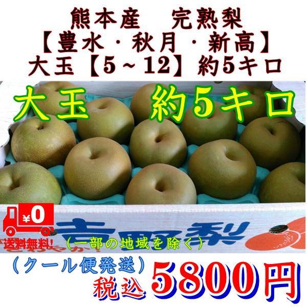 贈答用  梨　ギフト 熊本産　完熟梨（幸水・豊水・秋月・新高）　大玉（5〜14玉）約5キロ　クール便発送　なし・ナシ
