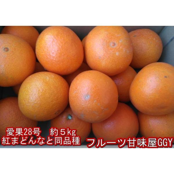 愛果28号 紅まどんなと同品種 あいか みかん 愛媛産 1箱約5kg 愛果28号 紅まどんなと同品種 あいか みかん 愛媛産 1箱約5kg