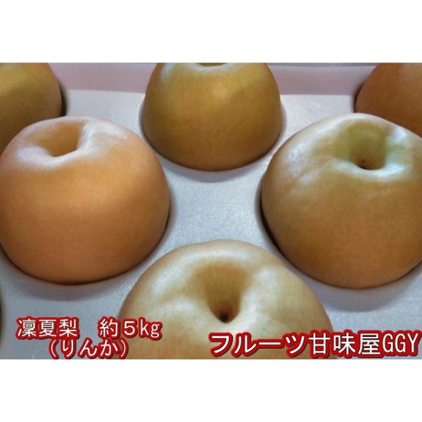 凜夏梨　りんか　なし　１箱　約５kg（約6〜16玉）熊本産　新品種