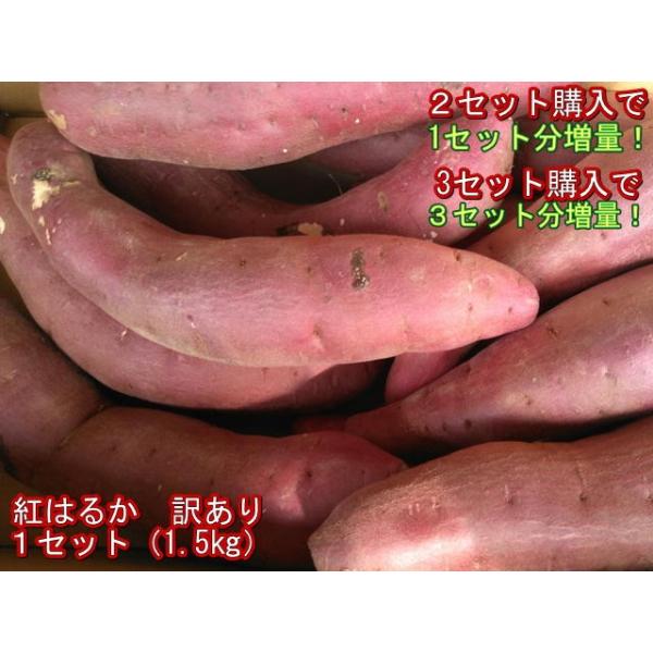 【セット】紅はるか 訳あり 新物 １セット（1.5kg）２セット購入で