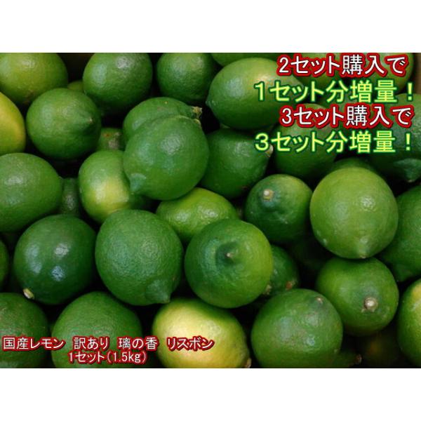【セット】国産レモン 訳あり 璃の香 リスボン 熊本産 １セット（1.5