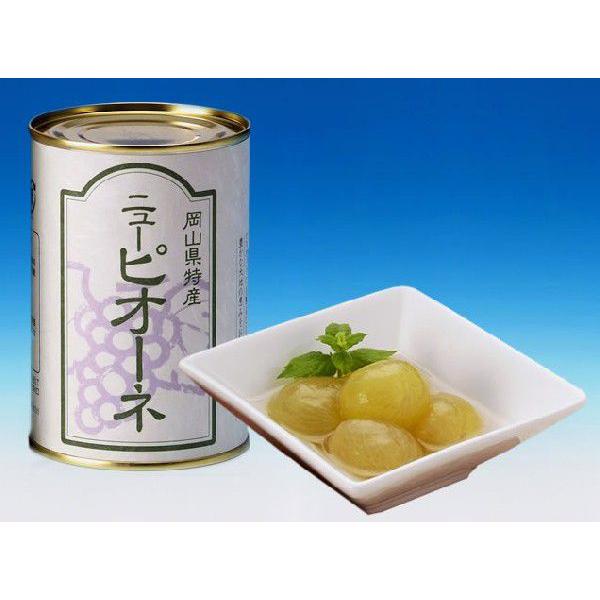 ニューピオーネの缶詰 シルシルミシルさんデーで 品質から手作りの作り方まで 鬼が島システム 笑 と紹介されてブレイク もちろん味も大絶賛 フルーツアンシャンテ 角南製造所 通販 Yahoo ショッピング