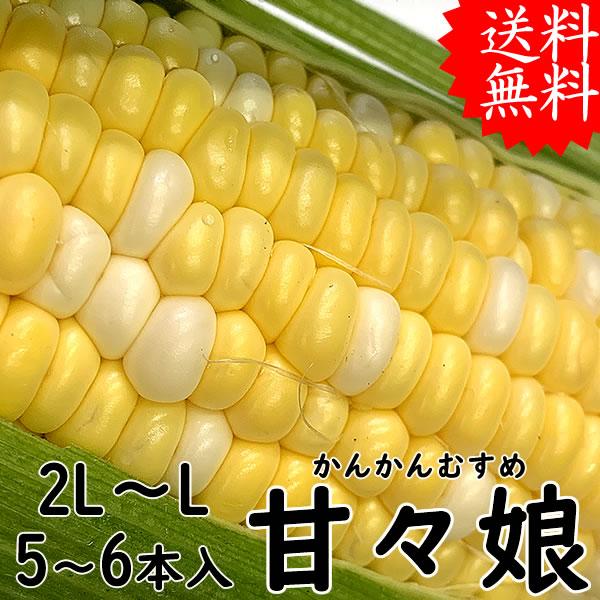 【発売日：2024年06月01日】甘々娘は、山梨県市川三郷町の特産とうもろこしです。朝採りの新鮮な甘々娘は、糖度が15度以上あり、粒の皮も薄くて、生でも食べられるほど美味しいとうもろこしです。スイーツコーン、フルーツコーンと呼ばれて、毎年の...