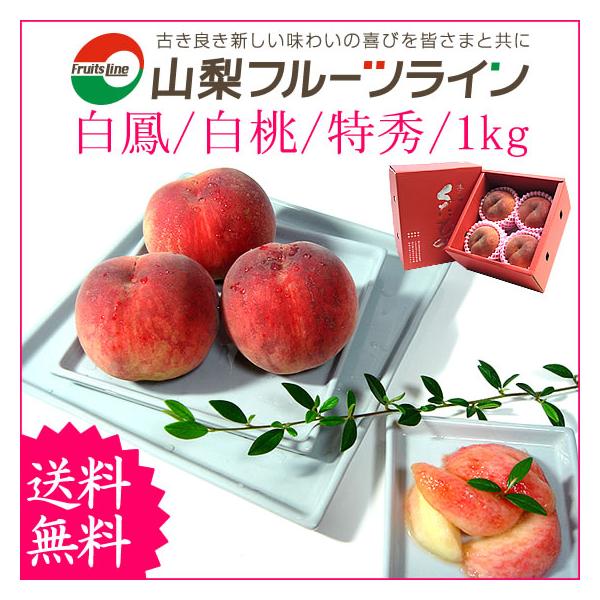山梨の甘い桃　特大サイズを6個詰めて発送　料金据え置き　ももやのきよし 山梨の甘い桃 特大サイズを6個詰めて発送 料金据え置き ももやの
