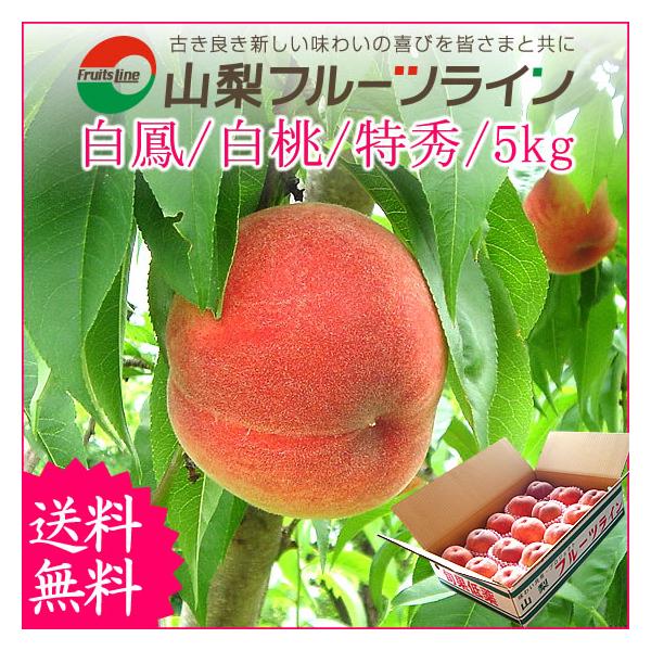 桃　5kg ご自宅用　山梨県産　早生白鳳 fruits-line_peach-5