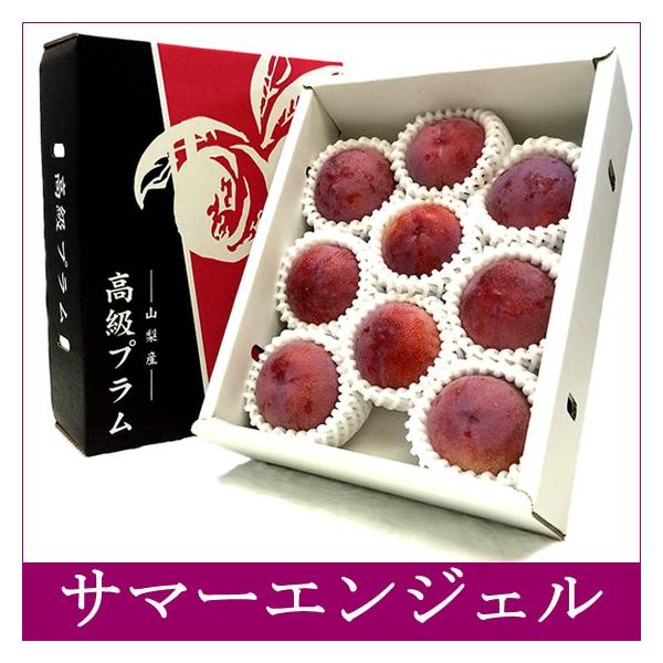 サマーエンジェル 山梨県推奨プラム すもも スモモ お中元 御中元