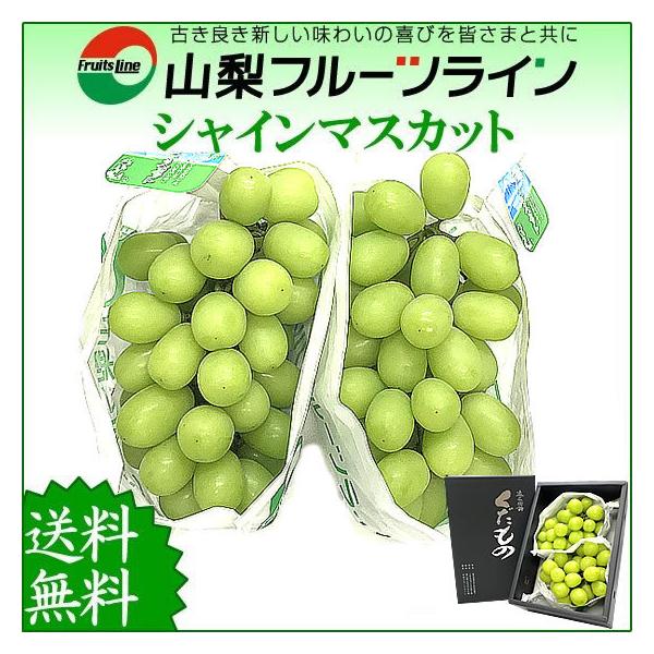 シャインマスカット 贈答用 山梨県産 約1.2kg 秀 2〜3房入 敬老の日 ギフト 残暑御見舞い ...