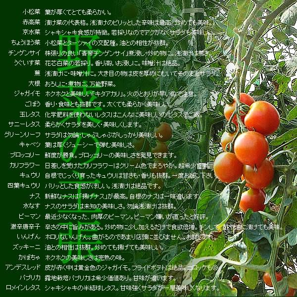 野菜セット 農家直送 山梨県産 無農薬 無化学肥料栽培 野菜9品目詰め合わせ 送料無料 一部地域を除く /【Buyee】 野菜セット 農家直送 山梨県産 無農薬 無化学肥料栽培 野菜9品目詰め合わせ 送料無料 一部地域を除く /【Buyee】