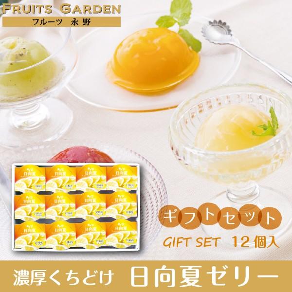 日向夏ゼリー 濃厚くちどけゼリー 12個入/化粧箱 贈答 ギフト