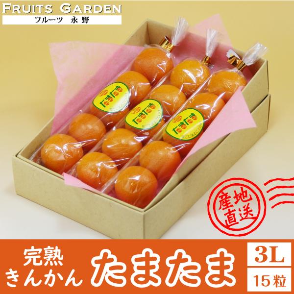 宮崎完熟きんかん たまたま 3l 15粒 柑橘 贈答ギフト 厳選品質 旬の果物 お中元 お歳暮 贈り物 化粧箱入り O Tama3l15 フルーツ永野 通販 Yahoo ショッピング