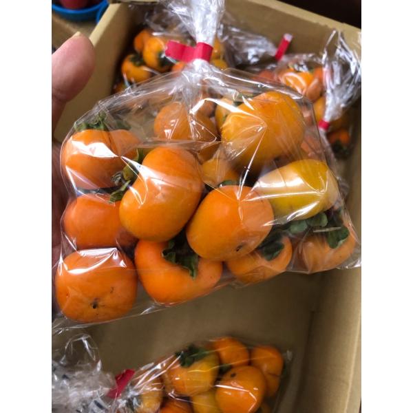柿 ベビーパーシモン 産地厳選 約500g : 果物専門店 フルーツ千里