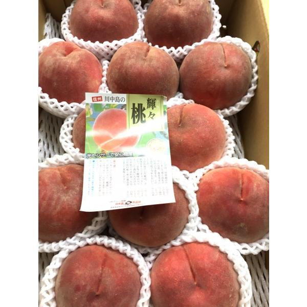 輝々 キラキラ 川中島 長野産 12〜15玉 糖度13度以上保証 約5kg