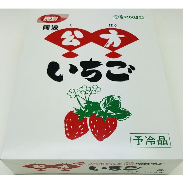いちご さちのか 徳島産 公方 くぼう 枝付き 化粧箱 Buyee Buyee Japanese Proxy Service Buy From Japan Bot Online