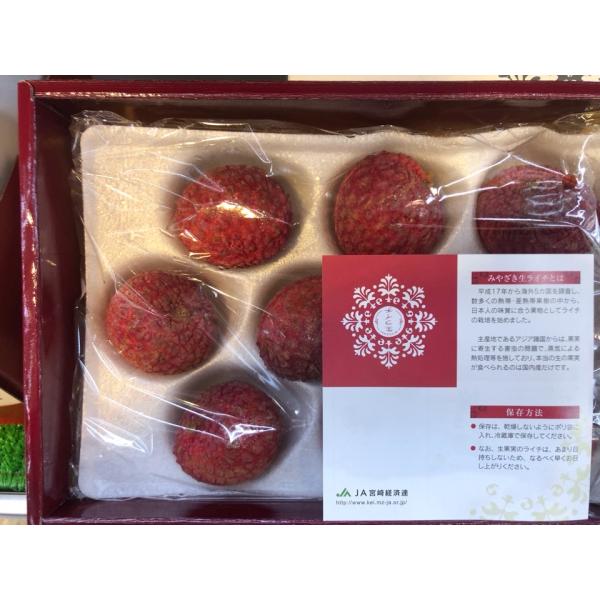 国産ライチ　宮崎産　化粧箱　9~15玉入り