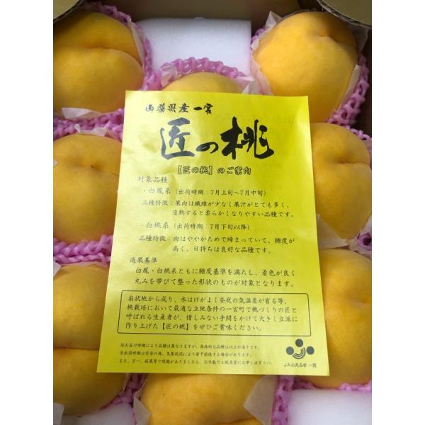 fruits-senri_takuminomomogold812