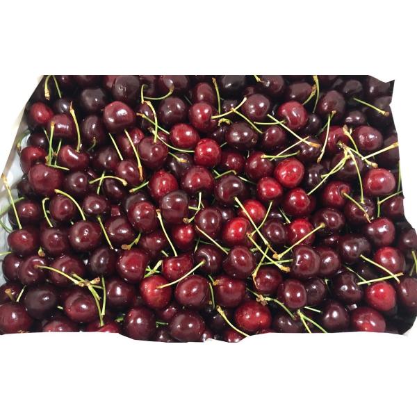 fruits-senri_tasumaniachelly4