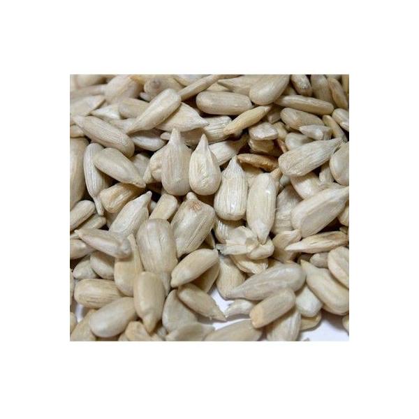 Ђ܂̎i[XgEuKAYj400g@yq}̎z