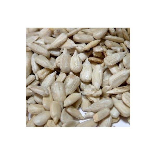 Ђ܂̎iEuKAYj1kgyq}̎z