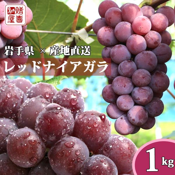 kakinyan様ご確認用 信州産葡萄 紅信ふた房・隙間に巨峰・ ナイアガラ