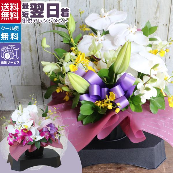 お供え 胡蝶蘭 花 ギフト フラワー アレンジメント 供花 御供 仏花 墓花 花かご 生花 お盆 法要 喪中 猫 犬 ペット 父 母 命日 虹の橋 染色 最短 台付きM