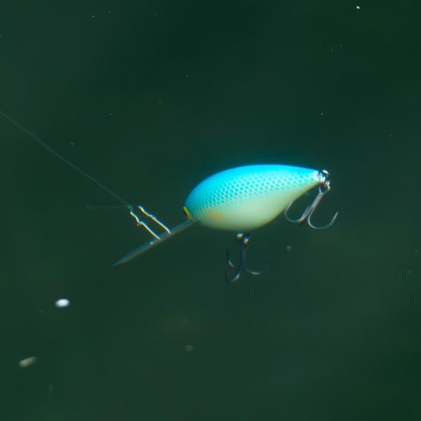 fs-furukin_bl-10150_4_d_20260531164209