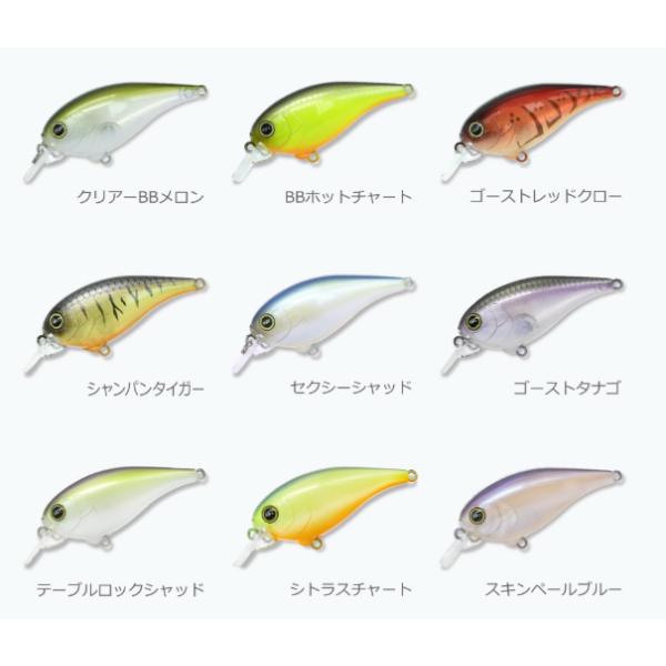 fs-furukin_bl-10153_1_d_20260601130001