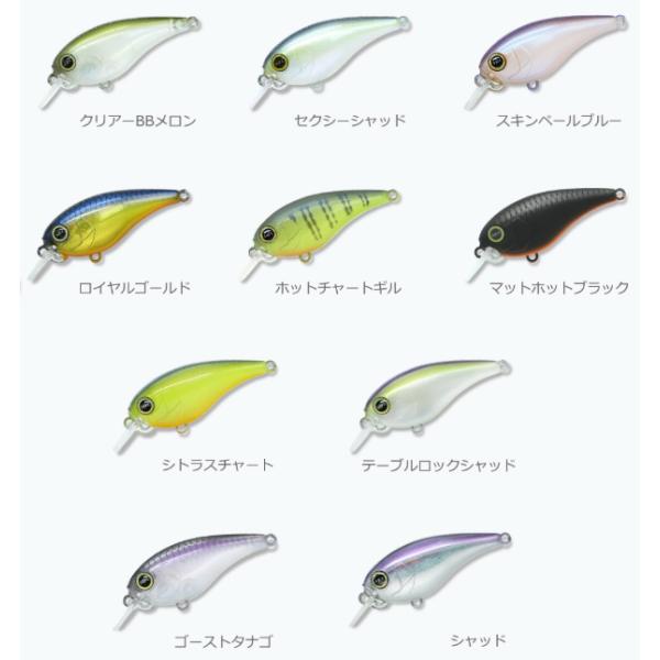 fs-furukin_bl-10155_1_d_20260601134059
