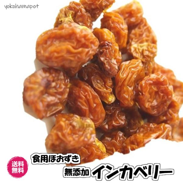 YCJx[ 180g^60g3PiCJx[60g×3PjHpق hCt[c S[fx[ Y sgp  `bN