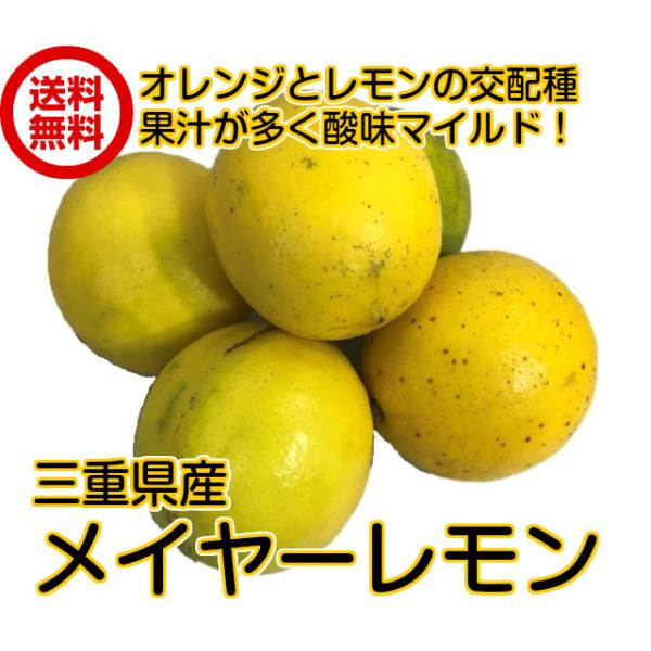 iOdY@C[ 3kgjh܁EbNXsgp@Pʁ^90g-110gO @Y@