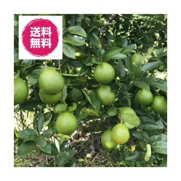 _Ew엿sgpiYCG[C@3jj50`60g/  萔@h܁EbNXEh΂ܕsgp @ 