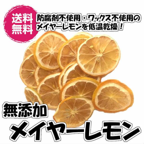 YC[XCX 300g ֐؂ hCt[c sgp  iC[300g FSYjtH_EH[^[ Y  ROO NZY