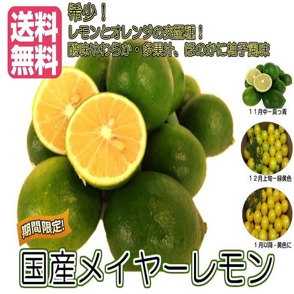 OdYiYC[@1j }C[@h܁EbNXsgp@@Pʁ^90g-110gO@Y@