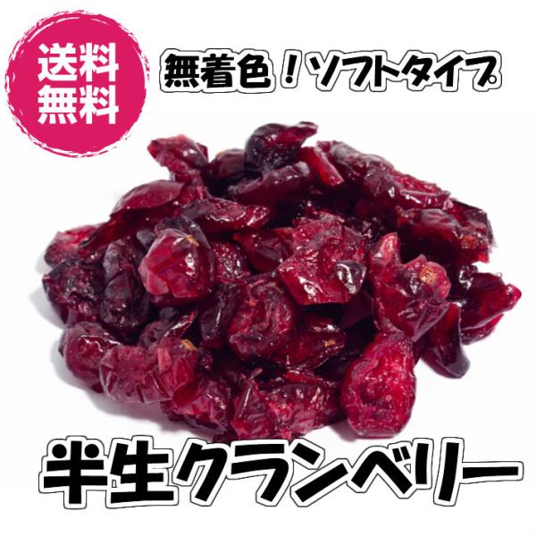 ドライクランベリー 無着色 半生タイプ 500g×2P 1kg ドライフルーツ（クランベリー500g×2P） クランベリー 半生タイプ チャック袋 業務用 お買い得パック
