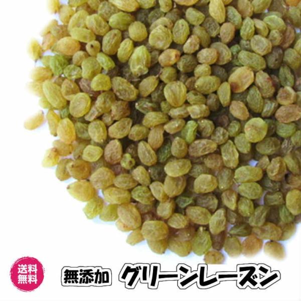 Y[Y O[ 500g sgp F hCt[c  iO[[Y500gjTOO  [Y Ԃǂ Ԃǂ Y  Ɩp