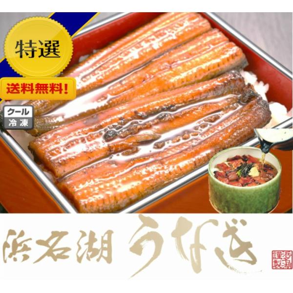 Éil΂Ȃ2{ ܂Ԃ2lOZbgj^pbN YȂ { Y