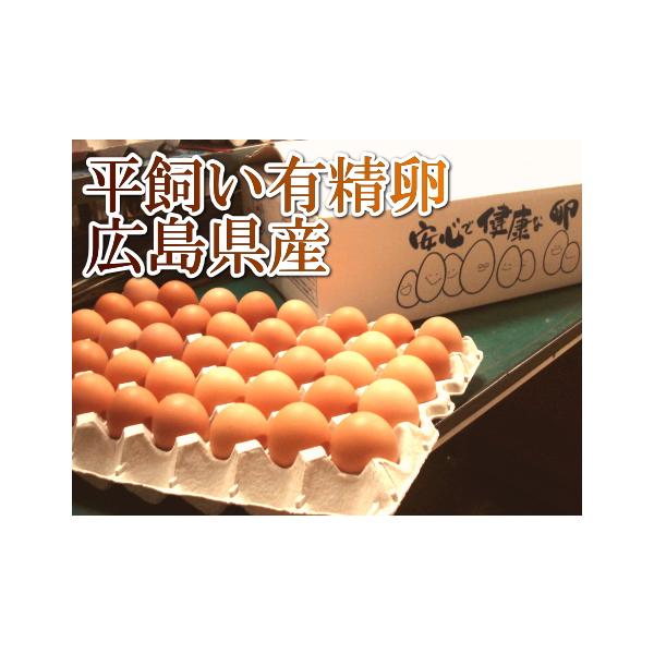 平飼い有精卵 80個(広島県 はやしなちゅらるふぁーむ)送料無料・産地直送・健康たまご :hayashi-5:ふるさと21Yahoo店 - 通販 - Yahoo!ショッピング 平飼い有精卵 80個(広島県 はやしなちゅらるふぁーむ)送料無料・産地直送・健康たまご :hayashi-5:ふるさと21Yahoo店 - 通販 - Yahoo!ショッピング