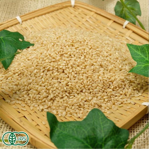 米 玄米 30kg - もち米の人気商品・通販・価格比較 - 価格.com