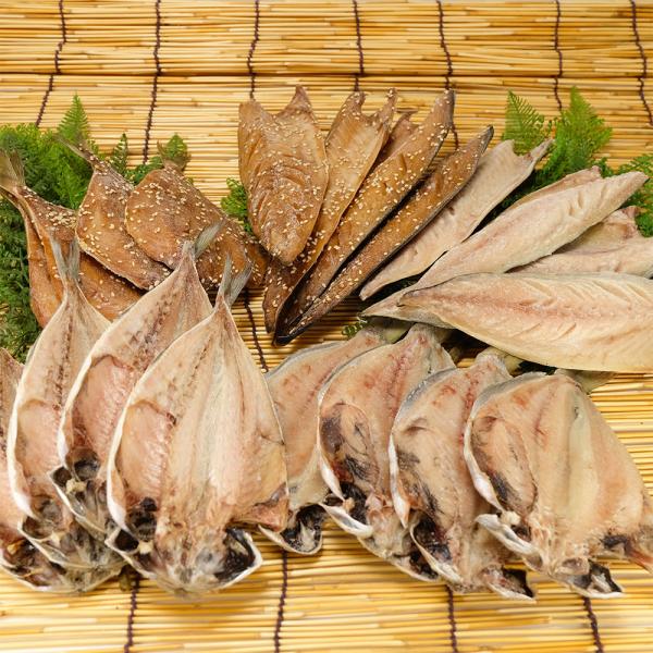 干物セットC 19尾 静岡県熱海 森新ひもの店 天然ひもの 産地直送