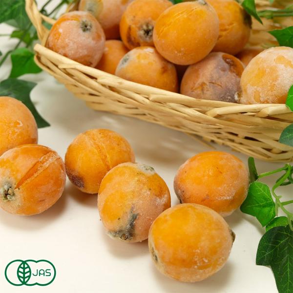 びわ 産地直送 フルーツの人気商品 通販 価格比較 価格 Com