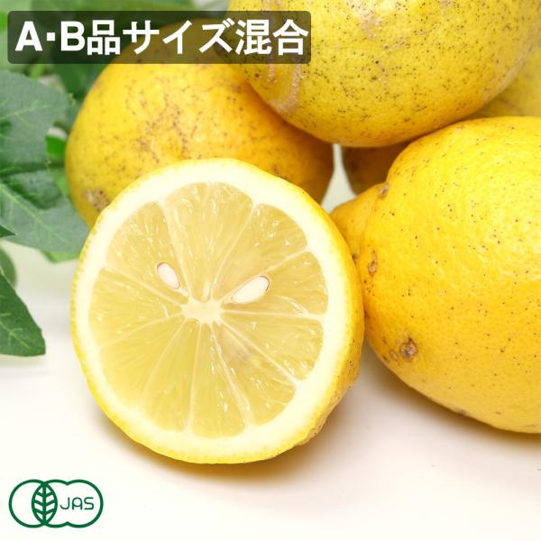 【期間限定特別価格！Ａ・Ｂサイズ混合】 有機 レモン(リスボン) 5kg 有機JAS  (神奈川県 山下農園) 産地直送