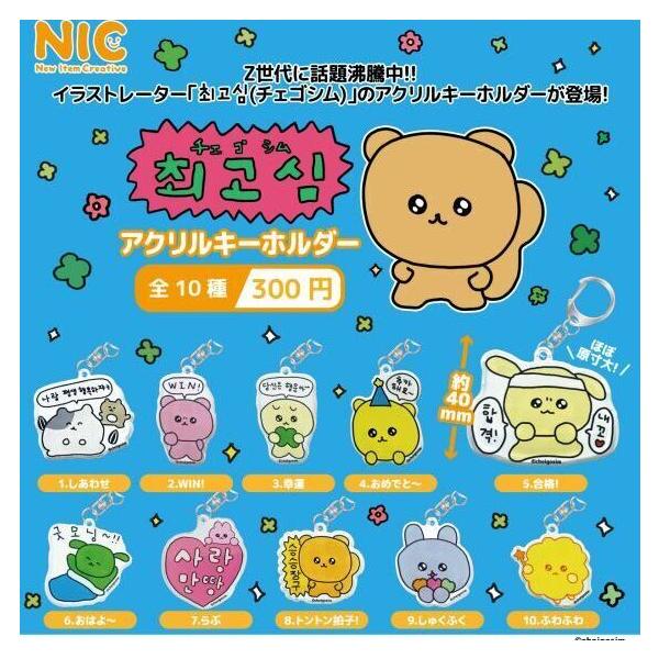 fs4869_3608nic6