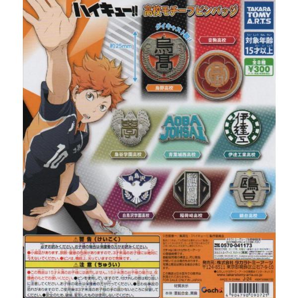ハイキュー!! 10th クロニクル アクリルスタンド ピンバッジ ハイキュー!!10thクロニクル 全種アクリルスタンド ピンバッジセット
