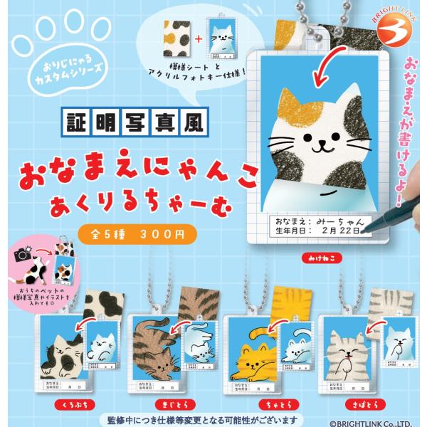 証明写真風おなまえにゃんこ あくりるチャーム 全5種セット 【2025年10