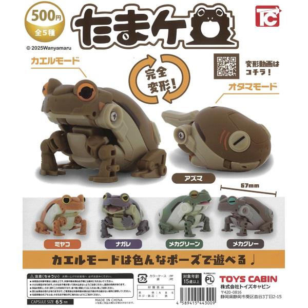 fs4869_3801tc1