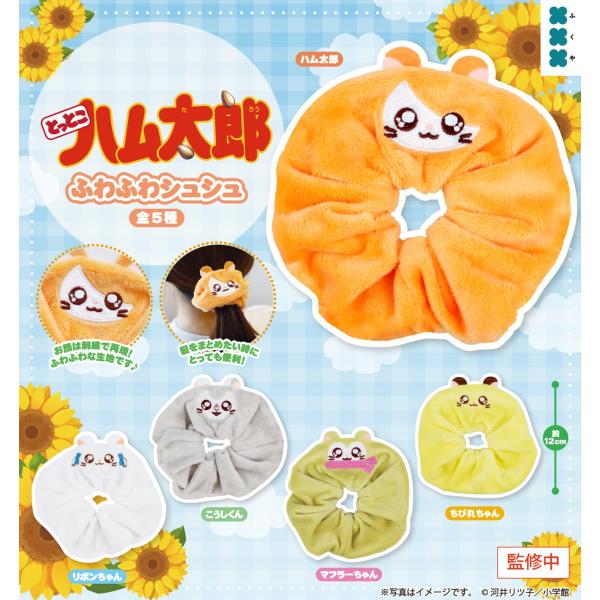 ハム太郎さん専用　BiSHまとめ売り fs4869_3803fuk2