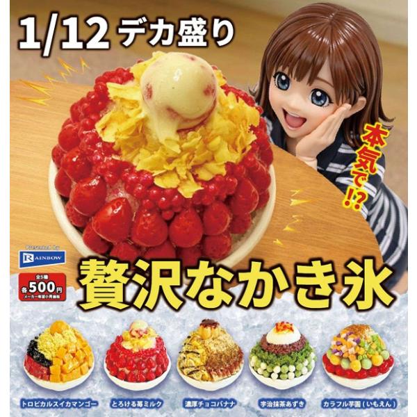 1/12 デカ盛り贅沢なかき氷 全5種セット 【2026年6月予約/コンプリート